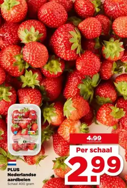 PLUS Plus Nederlandse aardbeien aanbieding