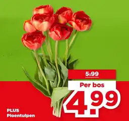PLUS Plus Pioentulpen aanbieding