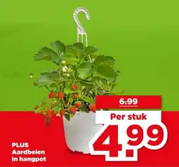 PLUS Plus Aardbeien in hangpot aanbieding