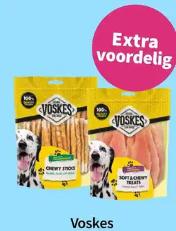 Plein.nl Odan at la Voskes aanbieding