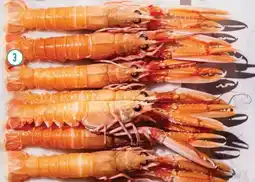 Albert Heijn AH Langoustines aanbieding