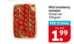 Hoogvliet Mini troscherry tomaten aanbieding