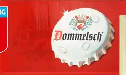 Hoogvliet Dommelsch Pilsener Bier aanbieding