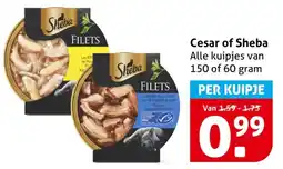 Hoogvliet Cesar of Sheba aanbieding