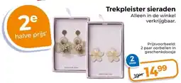 Trekpleister Trekpleister sieraden aanbieding