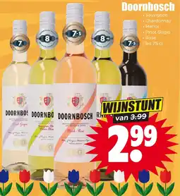 Dirk Doornbosch aanbieding