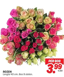 Dekamarkt Rozen aanbieding
