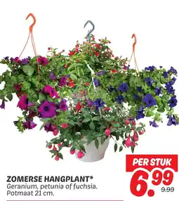 Dekamarkt Zomerse hangplant aanbieding