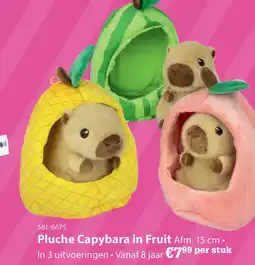 Toys2Play Pluche capybara 15cm in fruit 3 ass. aanbieding