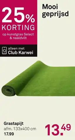 Karwei Grastapijt aanbieding