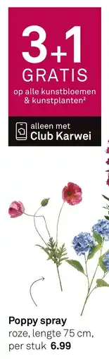 Karwei Poppy spray aanbieding