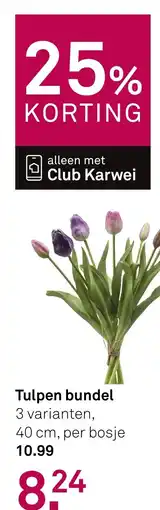 Karwei Tulpen bundel aanbieding