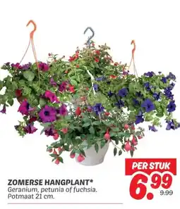Dekamarkt ZOMERSE HANGPLANT* aanbieding