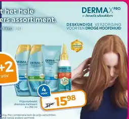 Trekpleister DESKUNDIGE VERZORGING VOOR EEN DROGE HOOFDHUID aanbieding