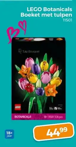Trekpleister LEGO Botanicals Boeket met tulpen aanbieding