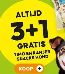Pets Place TIMO EN KANJER SNACKS HOND aanbieding
