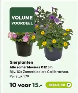 Pets Place Sierplanten Alle zomerbloeiers Ø12 cm. aanbieding