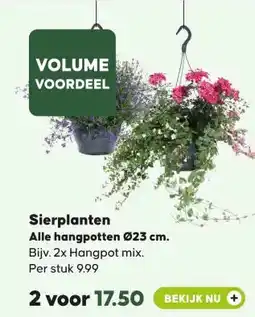 Pets Place Sierplanten Alle hangpotten Ø23 cm. aanbieding
