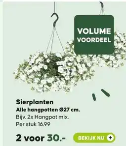 Pets Place Sierplanten Alle hangpotten 027 cm. aanbieding