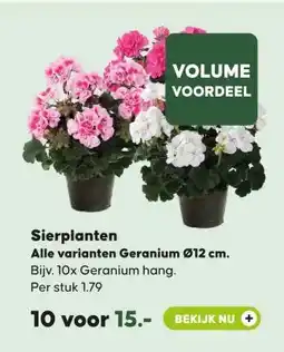 Pets Place Sierplanten Alle varianten Geranium Ø12 cm. aanbieding