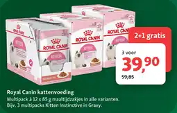 Maxi Zoo Royal Canin kattenvoeding aanbieding