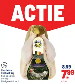 Makro Mechelse koekoek kip aanbieding