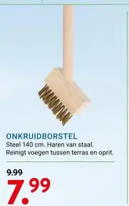 Kluswijs ONKRUIDBORSTEL aanbieding