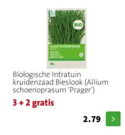 Intratuin Biologische Intratuin kruidenzaad Bieslook (Allium schoenoprasum 'Prager') aanbieding