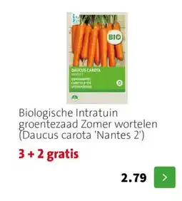 Intratuin Biologische Intratuin groentezaad Zomer wortelen (Daucus carota 'Nantes 2') aanbieding