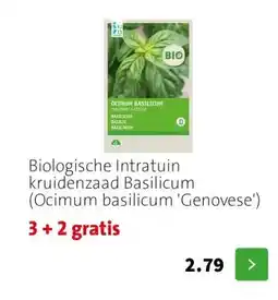 Intratuin Biologische Intratuin kruidenzaad Basilicum (Ocimum basilicum 'Genovese') aanbieding