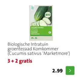 Intratuin Biologische Intratuin groentezaad Komkommer (Cucumis sativus 'Marketmore') aanbieding