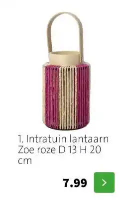 Intratuin 1. Intratuin lantaarn Zoe roze D 13 H 20 cm aanbieding