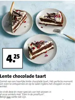 Intratuin Lente chocolade taart aanbieding