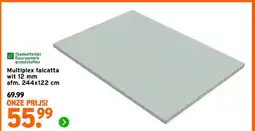 GAMMA Multiplex falcatta wit 12 mm aanbieding