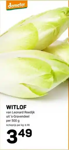 Ekoplaza WITLOF aanbieding