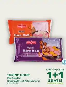 Amazing Oriëntal SPRING HOME Mini Rice Ball aanbieding