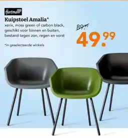 Blokker Kuipstoel Amalia aanbieding