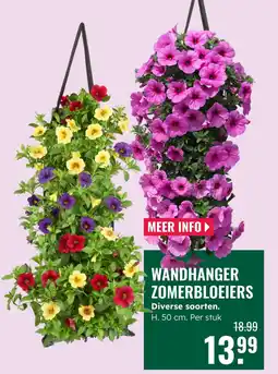 GroenRijk Wandhanger Zomerbloeiers aanbieding