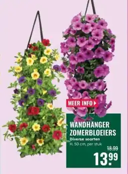 GroenRijk Wandhanger Zomerbloeiers aanbieding