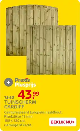 Praxis Tuinscherm Cardiff aanbieding