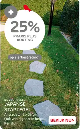 Praxis Japanse Staptegel aanbieding