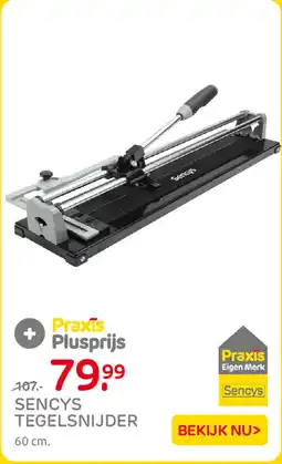 Praxis Sencys Tegelsnijder aanbieding