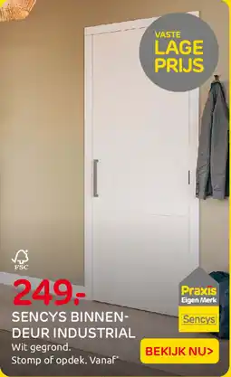Praxis Sencys Binnendeur Industrial aanbieding