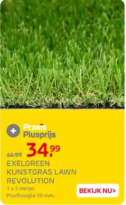 Praxis Exelgreen kunstgras lawn revolution aanbieding
