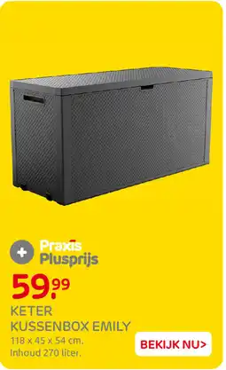 Praxis Keter Kussenbox Emily aanbieding