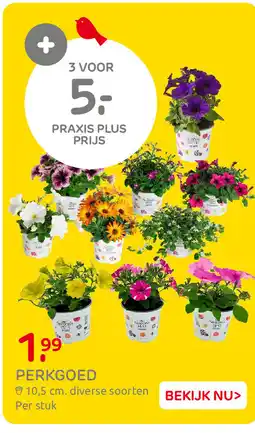 Praxis Perkgoed aanbieding