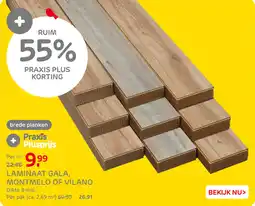Praxis Laminaat Gala, Montmelo of Vilano aanbieding