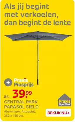 Praxis Central Park Parasol Cielo aanbieding