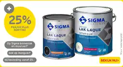 Praxis Sigma Lak Laque aanbieding