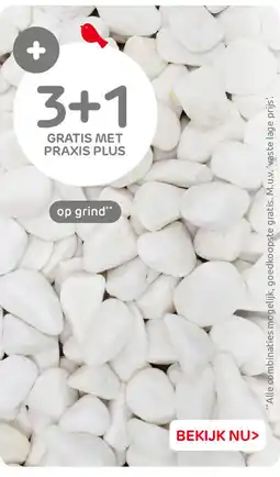 Praxis Op Grind aanbieding